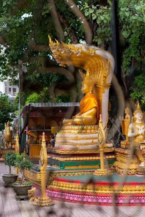 โปรแกรมสายมู เอเอทัวร์